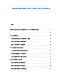 中國鋰電池材料技術(shù)創(chuàng)新及上下游產(chǎn)業(yè)鏈協(xié)同發(fā)展報告
