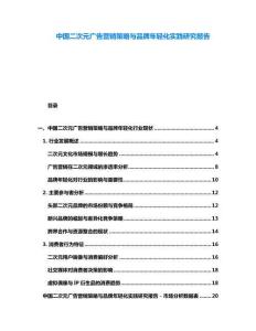 中國二次元廣告營銷策略與品牌年輕化實踐研究報告