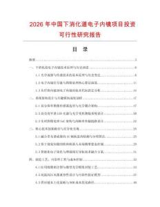 2026年中國下消化道電子內(nèi)鏡項(xiàng)目投資可行性研究報(bào)告