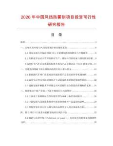 2026年中國風擋防霧劑項目投資可行性研究報告