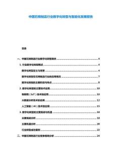 中國石棉制品行業(yè)數(shù)字化轉(zhuǎn)型與智能化發(fā)展報告