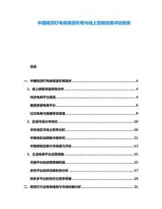 中國吸頂燈電商渠道布局與線上營銷效果評估報告