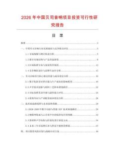 2026年中國貝司音響項目投資可行性研究報告