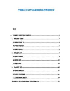 中國第三方支付市場發(fā)展現(xiàn)狀及競爭策略分析