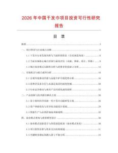 2026年中國干發(fā)巾項目投資可行性研究報告