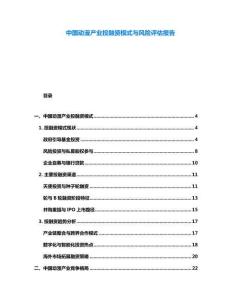 中國動漫產(chǎn)業(yè)投融資模式與風(fēng)險評估報告