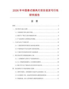 2026年中國(guó)泰式鋼角尺項(xiàng)目投資可行性研究報(bào)告