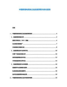 中國跨境電商獨(dú)立站流量獲取與轉(zhuǎn)化報(bào)告