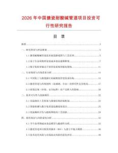 2026年中國搪瓷耐酸堿管道項目投資可行性研究報告