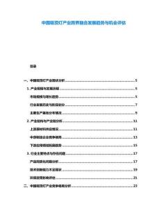 中國吸頂燈產(chǎn)業(yè)跨界融合發(fā)展趨勢與機會評估