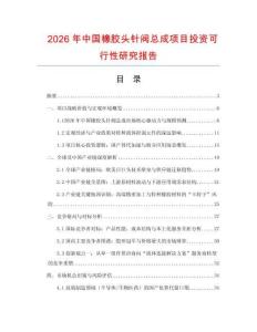 2026年中國橡膠頭針閥總成項目投資可行性研究報告