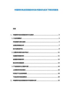中國(guó)燃料電池雙極板材料技術(shù)路線與成本下降空間報(bào)告