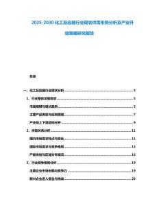 2025-2030化工反應(yīng)器行業(yè)現(xiàn)狀供需形勢分析及產(chǎn)業(yè)升級策略研究報(bào)告