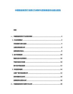 中國智能吸頂燈消費(fèi)行為調(diào)研與營銷渠道優(yōu)化建議報(bào)告