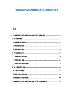 中國(guó)新能源汽車(chē)電池管理系統(tǒng)(BMS)芯片自主化報(bào)告