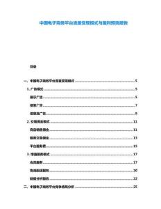 中國(guó)電子商務(wù)平臺(tái)流量變現(xiàn)模式與盈利預(yù)測(cè)報(bào)告