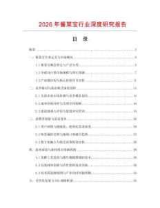 2026年醬菜寶行業(yè)深度研究報告