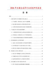 2026年水揉合成革行業(yè)深度研究報告