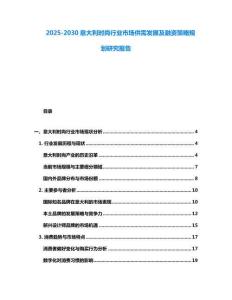 2025-2030意大利時尚行業市場供需發展及融資策略規劃研究報告