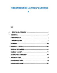 中國自動駕駛感知系統(tǒng)核心技術(shù)突破與產(chǎn)業(yè)化路徑研究報告