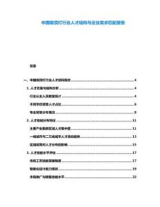 中國吸頂燈行業(yè)人才結(jié)構(gòu)與企業(yè)需求匹配報(bào)告