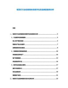 吸頂燈行業(yè)經(jīng)銷商體系數(shù)字化改造典型案例分析