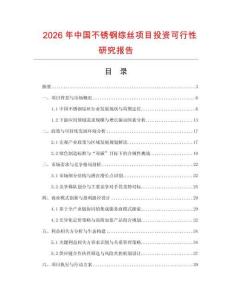 2026年中國不銹鋼綜絲項目投資可行性研究報告