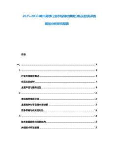 2025-2030神州高鐵行業(yè)市場現(xiàn)狀供需分析及投資評估規(guī)劃分析研究報(bào)告