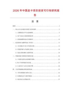 2026年中國皮卡項目投資可行性研究報告