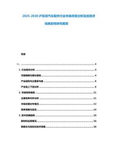 2025-2030滬蘇浙汽車(chē)配件行業(yè)市場(chǎng)供需分析及投資評(píng)估規(guī)劃性研究報(bào)告