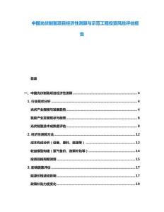 中國(guó)光伏制氫項(xiàng)目經(jīng)濟(jì)性測(cè)算與示范工程投資風(fēng)險(xiǎn)評(píng)估報(bào)告
