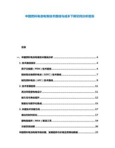 中國(guó)燃料電池電堆技術(shù)路線與成本下降空間分析報(bào)告