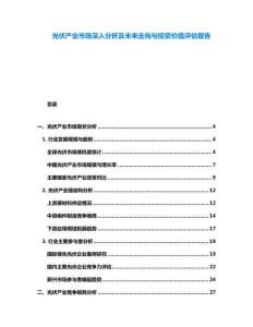 光伏產(chǎn)業(yè)市場(chǎng)深入分析及未來(lái)走向與投資價(jià)值評(píng)估報(bào)告
