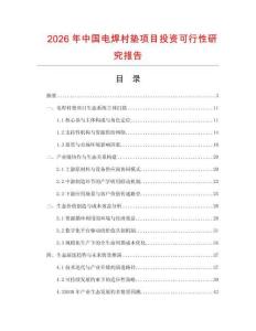 2026年中國電焊村墊項目投資可行性研究報告
