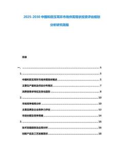 2025-2030中國和田玉耳環(huán)市場供需現(xiàn)狀投資評估規(guī)劃分析研究簡報