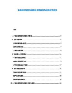 中國自動駕駛傳感器技術(shù)路線競爭格局研究報告