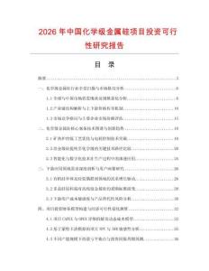 2026年中國化學(xué)級金屬硅項目投資可行性研究報告