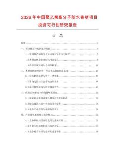 2026年中國聚乙烯高分子防水卷材項(xiàng)目投資可行性研究報(bào)告