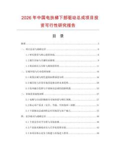 2026年中國電扶梯下部驅動總成項目投資可行性研究報告
