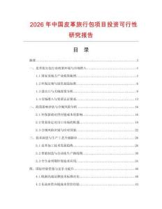 2026年中國皮革旅行包項目投資可行性研究報告