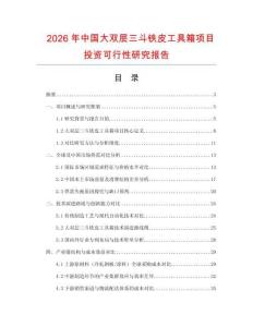 2026年中國大雙層三斗鐵皮工具箱項目投資可行性研究報告