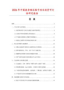 2026年中國視音頻壓縮卡項目投資可行性研究報告