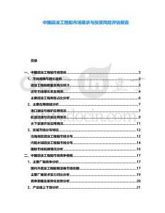 中國疏浚工程船市場現(xiàn)狀與投資風險評估報告