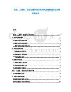 鞋業(yè)、人造革、鞋底行業(yè)市場深度調(diào)研及發(fā)展趨勢與戰(zhàn)略研究報告