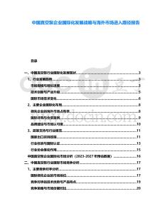 中國真空泵企業(yè)國際化發(fā)展戰(zhàn)略與海外市場進入路徑報告