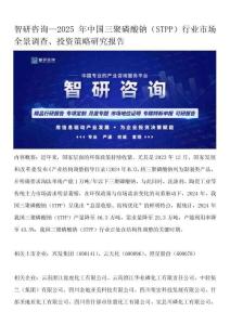 智研咨詢—2025年中國三聚磷酸鈉（STPP）行業市場全景調查、投資策略研究報告