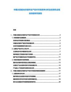 中國太陽能光伏組件生產技術市場競爭分析及投資機會規(guī)劃深度研究報告