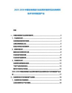 2025-2030中國生物質能行業(yè)應用環(huán)境研究及生物燃料技術與環(huán)保能源產業(yè)