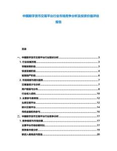 中國數(shù)字貨幣交易平臺行業(yè)市場競爭分析及投資價值評估報告