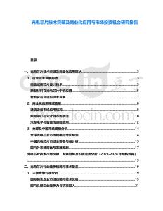 光電芯片技術(shù)突破及商業(yè)化應(yīng)用與市場(chǎng)投資機(jī)會(huì)研究報(bào)告